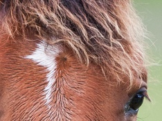 100%crop