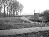 test4x501