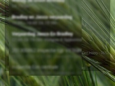 Afbeeldingslocatie: http://tweakers.net/ext/f/t5QIKieJzp73FEmlK8tqDlCj/medium.jpg