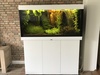 Aquarium_White Aquarium_White