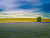 Gnome 3 afb 1