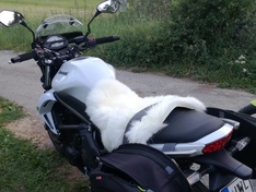 Afbeeldingslocatie: https://tweakers.net/ext/f/u2MR23jpDMFXwrUEsnW1BF9U/medium.jpg