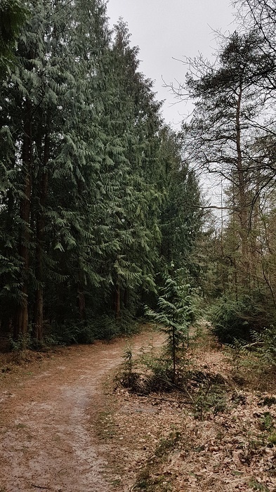 Afbeeldingslocatie: https://tweakers.net/ext/f/uGSOoK595lFzQ4bDzMwXmJgZ/full.jpg