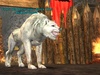 Afbeeldingslocatie: http://tweakers.net/ext/f/uK0lcIB7gm1p0fzzFraTdvA6/thumb.jpg