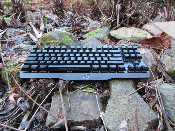 https://tweakers.net/ext/f/uWSLoM0iCb09mcLmLJ5geTEW/full.jpg