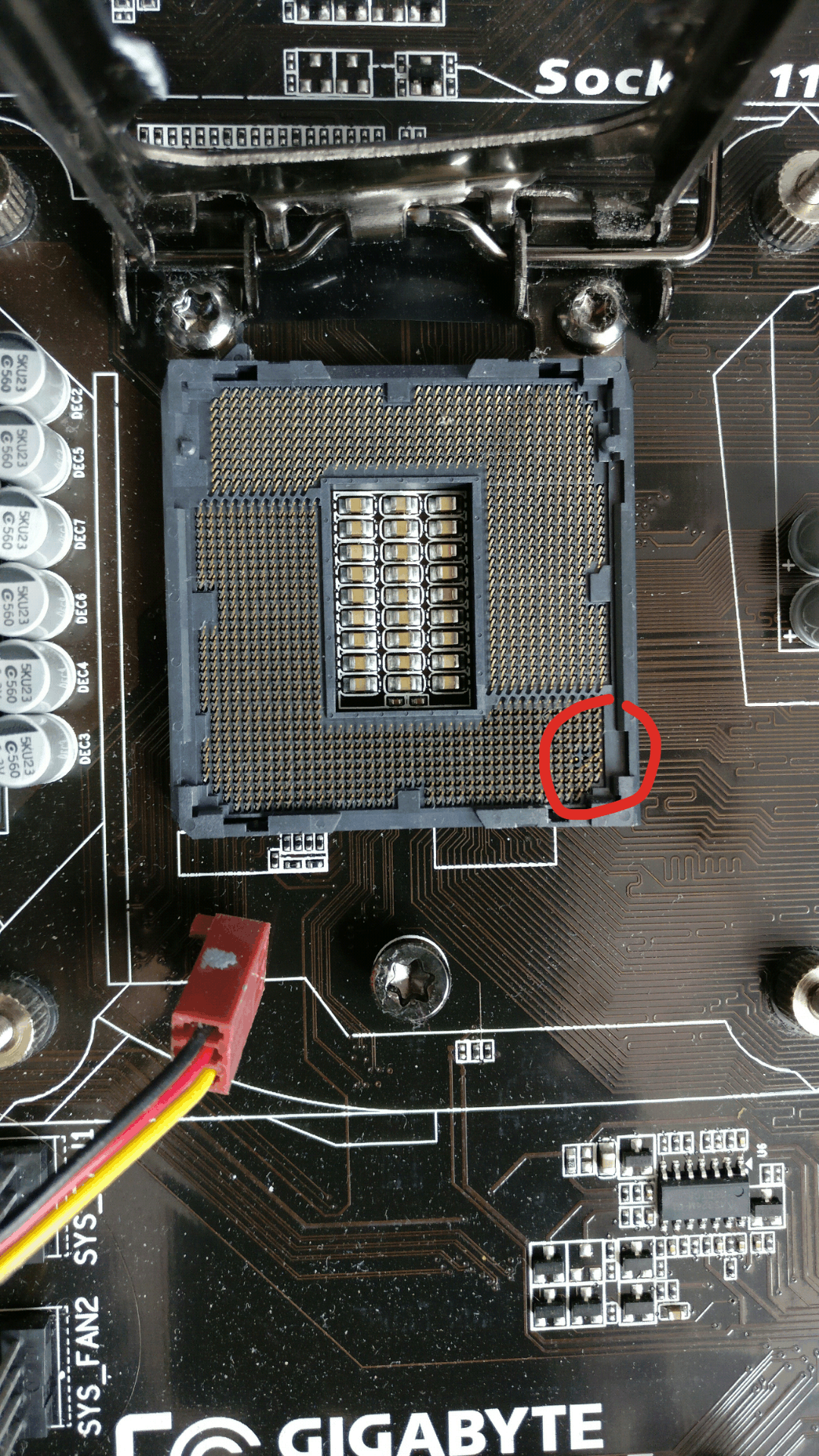 Schade socket