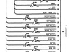 br20 pinout