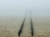 Afbeeldingslocatie: http://tweakers.net/ext/f/vecFRfuxCnx7b5lOR3xe6qxV/thumb.jpg