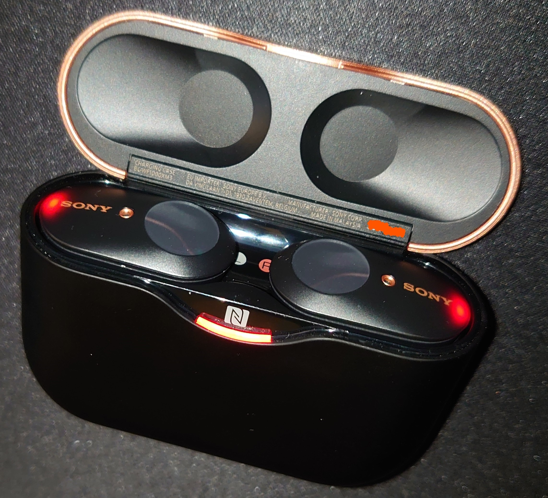 10. Earbuds Case Open