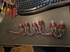 Molex