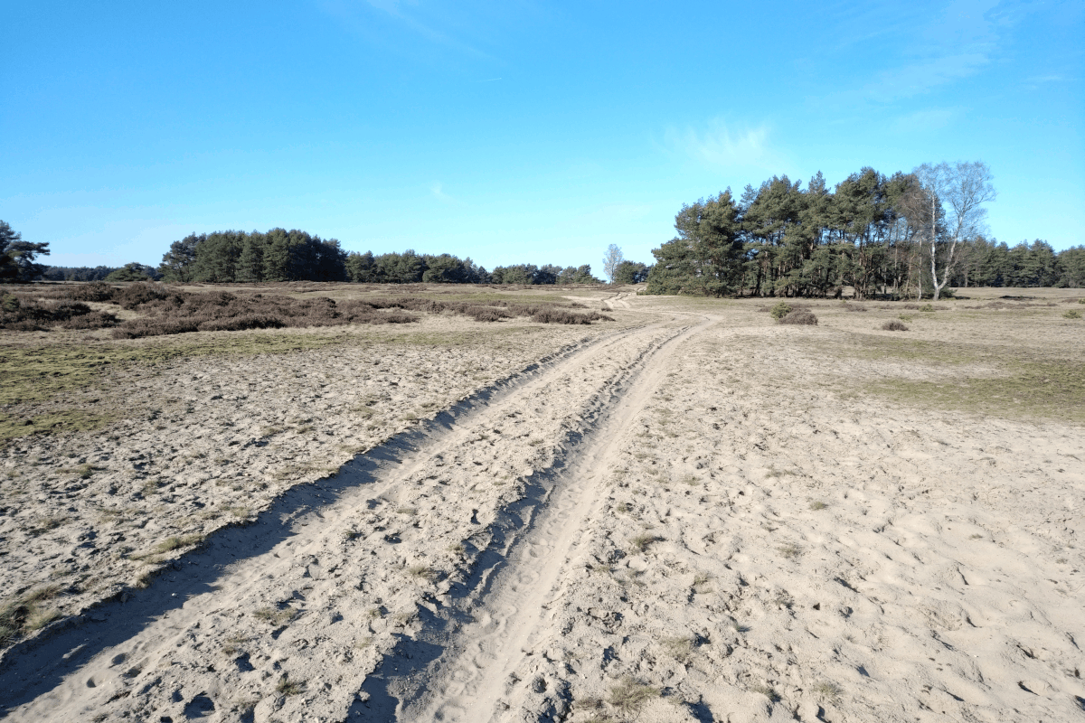 Afbeeldingslocatie: https://tweakers.net/ext/f/vtQDmt8mgg9UamhGWJEuLIzN/full.png