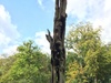 Afbeeldingslocatie: http://tweakers.net/ext/f/wHdiytOe3f1LgRHKwpvHvzzK/thumb.jpg