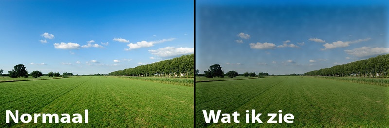 Afbeeldingslocatie: http://tweakers.net/ext/f/wITcNRt2j65zWNEwloXCQrZ7/full.jpg