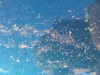 Afbeeldingslocatie: http://tweakers.net/ext/f/wU2Y7MqRzyhXMRK7ZLuM6mtD/thumb.jpg