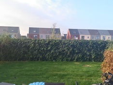 Afbeeldingslocatie: https://tweakers.net/ext/f/wVa3v986rtz4jLZ5MbjPAOpw/medium.jpg