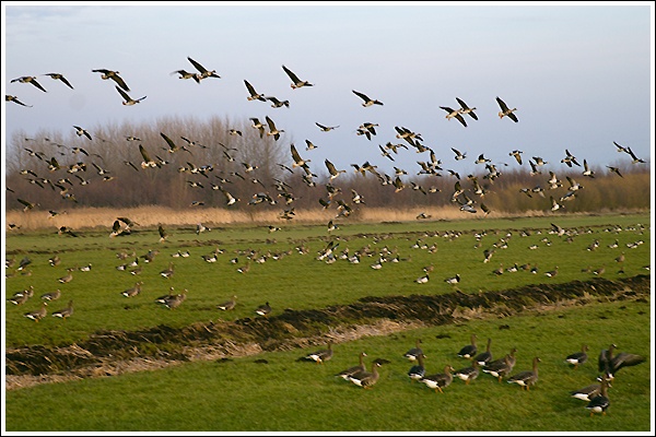 Afbeeldingslocatie: http://tweakers.net/ext/f/wW9XxlA9ky5Ii0T5gPhq1VVL/full.jpg