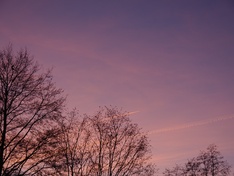 Afbeeldingslocatie: http://tweakers.net/ext/f/x65B19Oe7c9LS5JRfHETeZAa/medium.jpg