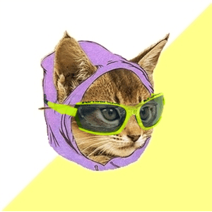 Afbeeldingslocatie: http://tweakers.net/ext/f/x957nrFsNY6bR1zw5IL6WzjX/full.png