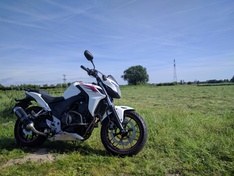 Weer in een weiland