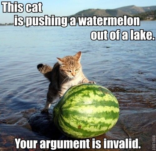 cat lake