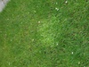 Afbeeldingslocatie: https://tweakers.net/ext/f/xNboibd4KuoJ5tStUbIM1QNs/thumb.jpg