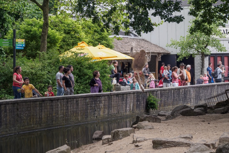 Afbeeldingslocatie: http://tweakers.net/ext/f/xpCqqtZRmdx3BYd7fyX9ubHw/full.jpg