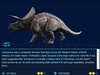 Torosaurus Torosaurus