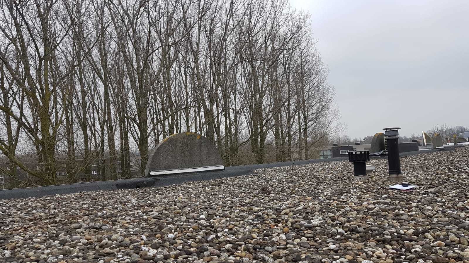 Afbeeldingslocatie: https://tweakers.net/ext/f/yC6kOyajwk0OalpOU8HlTcd6/full.jpg