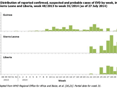 Ebola: epidemische curve augustus 2014