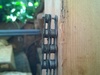 Afbeeldingslocatie: http://tweakers.net/ext/f/yEVCn66AvBNveCgV9IYH5Jb1/thumb.jpg