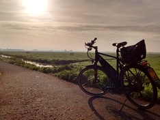 Afbeeldingslocatie: https://tweakers.net/ext/f/yiZvheQcfaE8EyVOLji5Y3Hm/medium.jpg