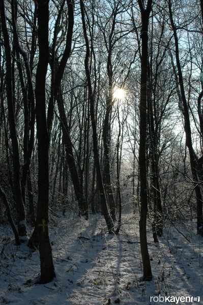 Afbeeldingslocatie: http://tweakers.net/ext/f/yuqzFSuTD65SiFIPGPIB38iU/full.jpg