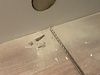 Afbeeldingslocatie: https://tweakers.net/ext/f/z6yi8n4dhJQHYWbQymy6AxC4/thumb.jpg