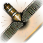 Afbeeldingslocatie: http://tweakers.net/ext/f/zQWbP5PKJg88CNlFVd6jX4wp/full.png