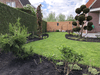 Tuin