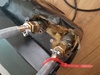 Afbeeldingslocatie: http://tweakers.net/ext/f/zSNd9JpNp3SK8YPxovaPjPWi/thumb.jpg