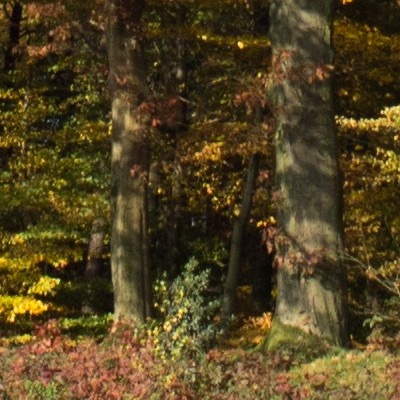 Afbeeldingslocatie: http://tweakers.net/ext/f/zayHADDgjWnysWUAOm9Fr4mn/full.jpg