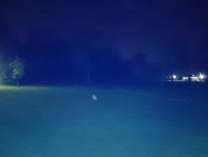 http://tweakers.net/ext/f/zhIAajpsDIAehe4m7OpRxXKj/medium.jpg http://tweakers.net/ext/f/zhIAajpsDIAehe4m7OpRxXKj/medium.jpg