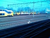 Treinen Roosendaal 2