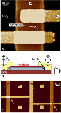 nanotubes