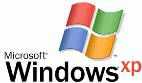 Windows XP logo (groot)
