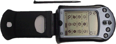 Palm M125