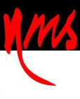 New Media Strategies Inc.