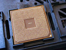 AMD ClawHammer pins onderzijde (klein)