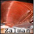 Zalman review aankondigingspicje