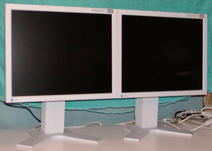 Eizo FlexScan L675 LCD systeem