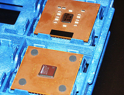 CeBIT 2002: Palamino en Thoroughbred cores