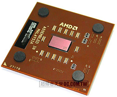 AMD Thoroughbred