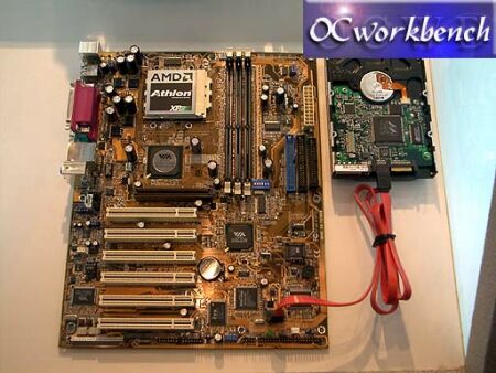 Asus A7V8X