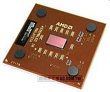 AMD Thoroughbred